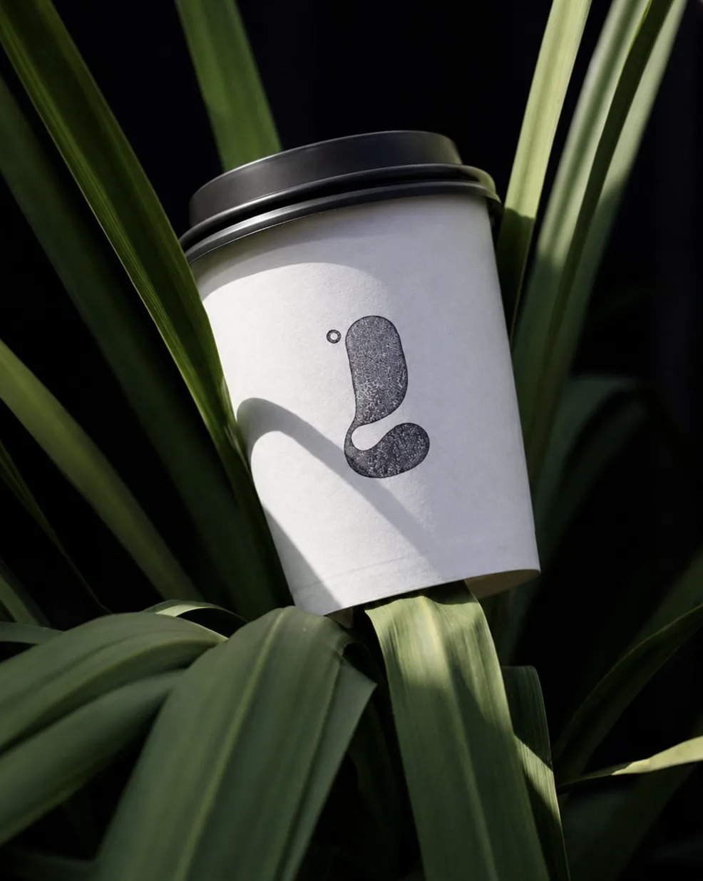 Vaso de Lattitude Coffee para llevar entre hojas de una planta verde